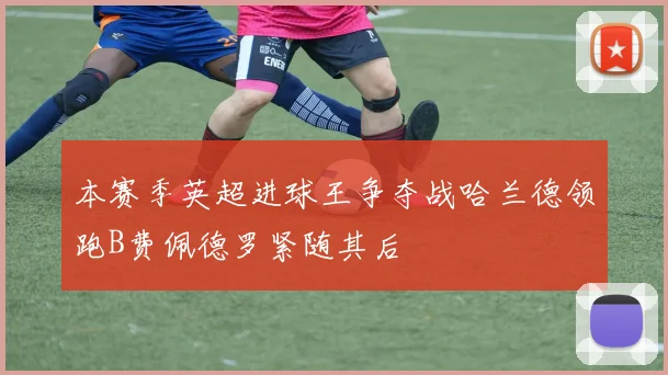 本赛季英超进球王争夺战哈兰德领跑B费佩德罗紧随其后